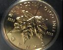 Gold Coin