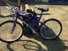 Bike for sale