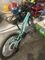 Item Pic