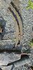 PRICE REDUCED!!!  BRAND NEW LEAF SPRINGS
