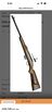 Remington 223