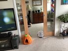 Free carpet